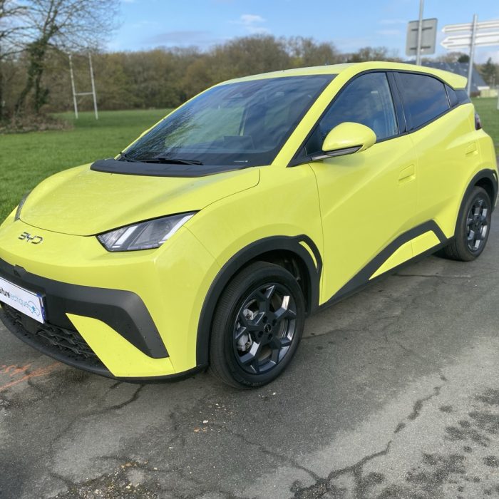 voiture electrique byd dolphin surf 21