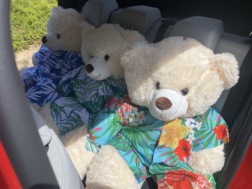 voiture electrique citroën e c3 urban plus 15